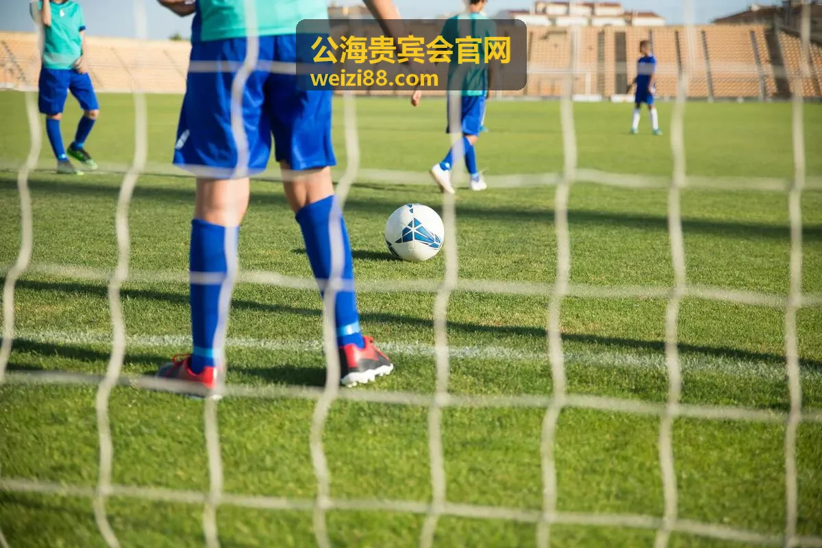 公海贵宾会官网专属体验